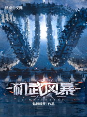 机武风暴里的机甲是什么样